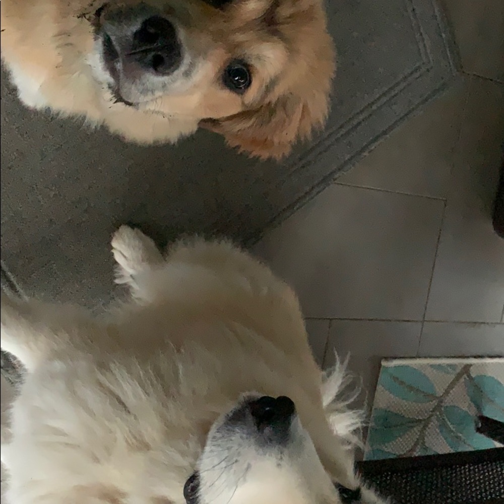 Meet your Posher, Annmarie